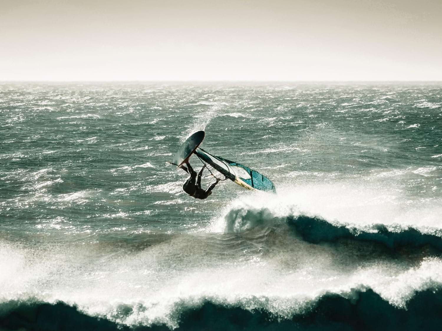 żagle windsurfingowe